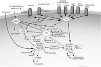 Toxins 04 01343 g002 200