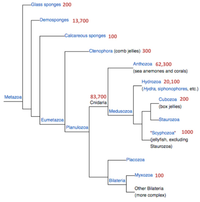 Toxins 04 01367 g001 200