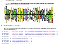 Toxins 04 01367 g005 200