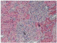 Toxins 04 01440 g003 200