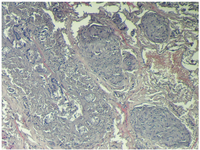 Toxins 04 01440 g005 200