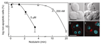 Toxins 04 01482 g001 200