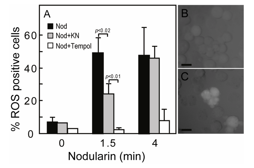 Toxins 04 01482 g005 1024