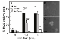 Toxins 04 01482 g005 200