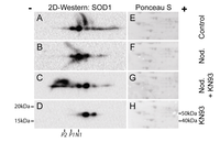 Toxins 04 01482 g007 200