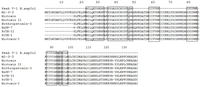 Toxins 04 01500 g003 200