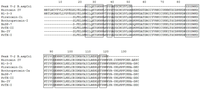 Toxins 04 01500 g004 200
