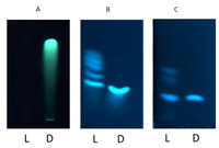 Toxins 04 01535 g001 200