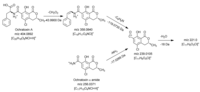 Toxins 04 01535 g004 200