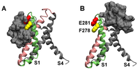 Toxins 04 01552 g002 200