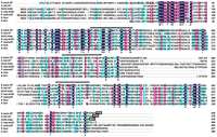 Toxins 04 01582 g001 200