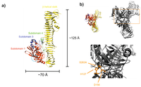 Toxins 05 00025 g004 200