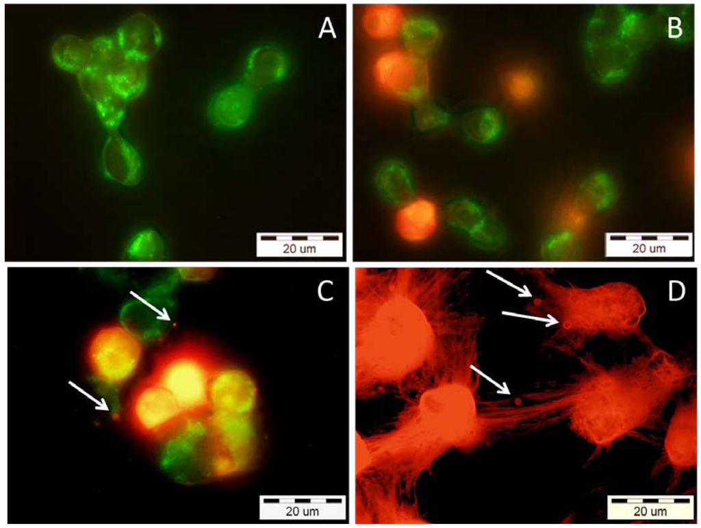 Toxins 05 00203 g005 1024