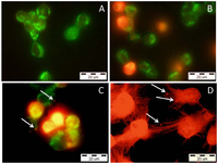 Toxins 05 00203 g005 200