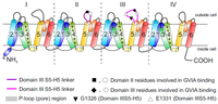 Toxins 05 00286 g001 200