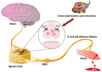 Toxins 05 00286 g002 200