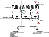 Toxins 05 00396 g002 200