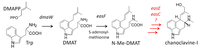 Toxins 05 00445 g001 200