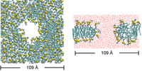 Toxins 05 00456 g006 200