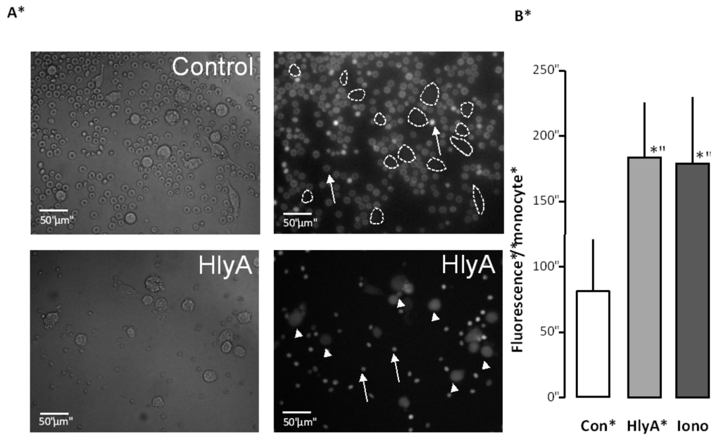 Toxins 05 00472 g002 1024