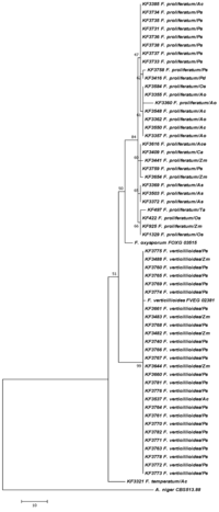 Toxins 05 00488 g001 200