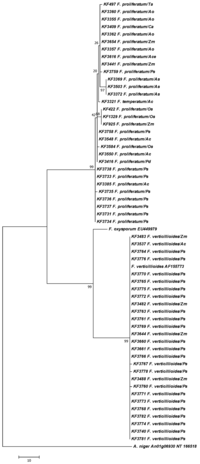 Toxins 05 00488 g002 200