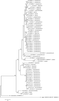 Toxins 05 00537 g002 200