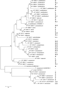 Toxins 05 00537 g004 200