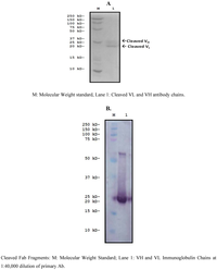 Toxins 05 00568 g008 200