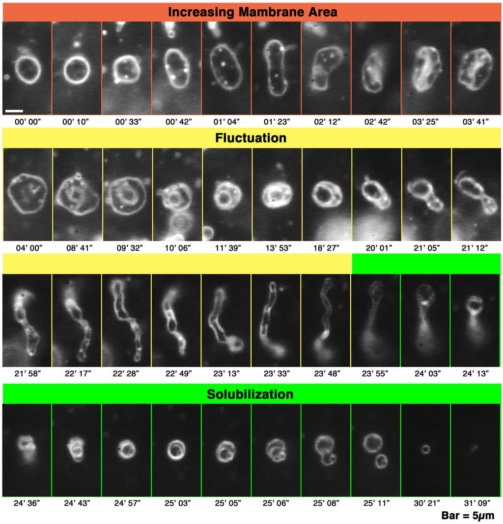 Toxins 05 00637 g001 1024