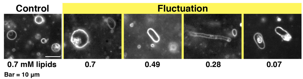 Toxins 05 00637 g003 1024