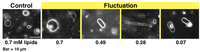 Toxins 05 00637 g003 200