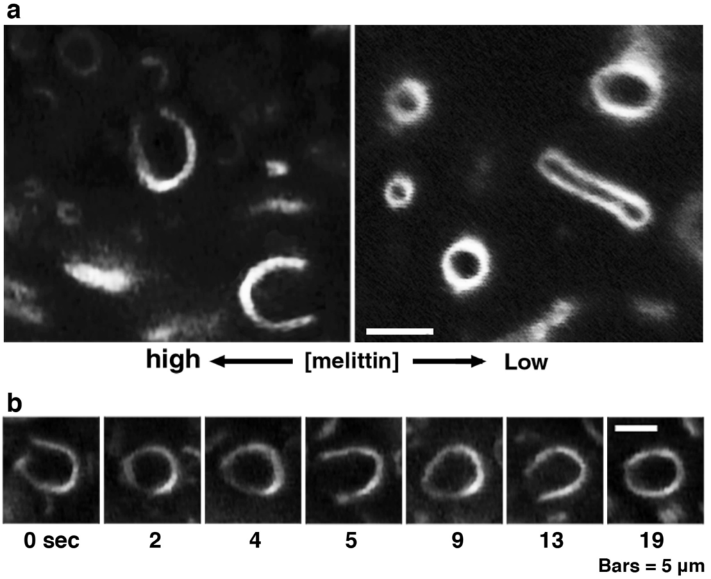 Toxins 05 00637 g004 1024