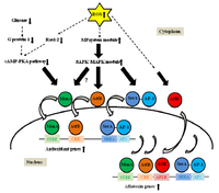 Toxins 05 00683 g002 200