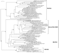 Toxins 05 00717 g002 200