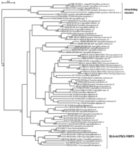 Toxins 05 00717 g003 200