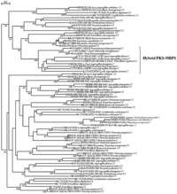Toxins 05 00717 g004 200