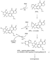 Toxins 05 00743 g002 200