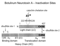 Toxins 05 00743 g003 200