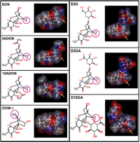 Toxins 05 00784 g001 200