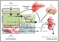 Toxins 05 00784 g005 200