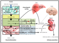 Toxins 05 00784 g006 200