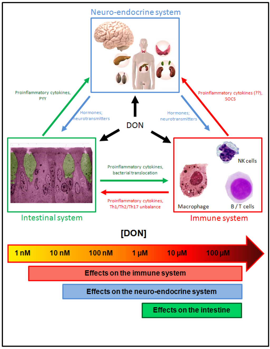 Toxins 05 00784 g009 1024
