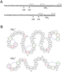 Toxins 05 00895 g002 200