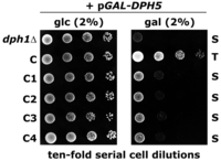 Toxins 05 00958 g004 200
