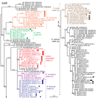 Toxins 05 01064 g003 200