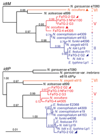 Toxins 05 01064 g004 200