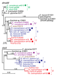 Toxins 05 01064 g005 200