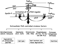 Toxins 05 01119 g003 200