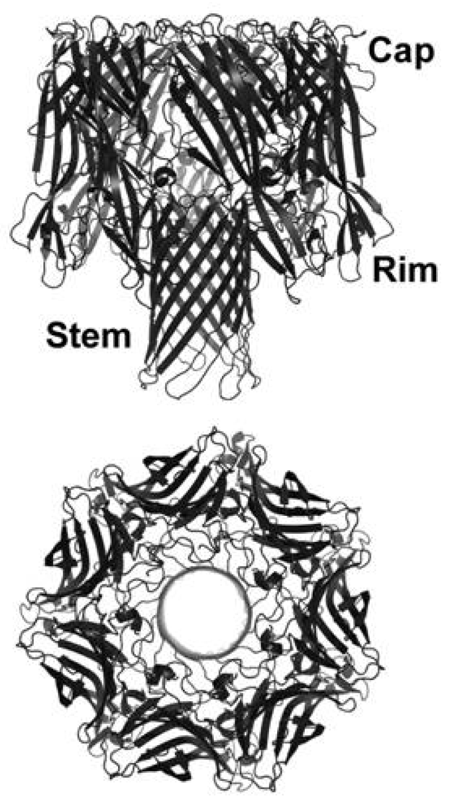 Toxins 05 01140 g001 1024